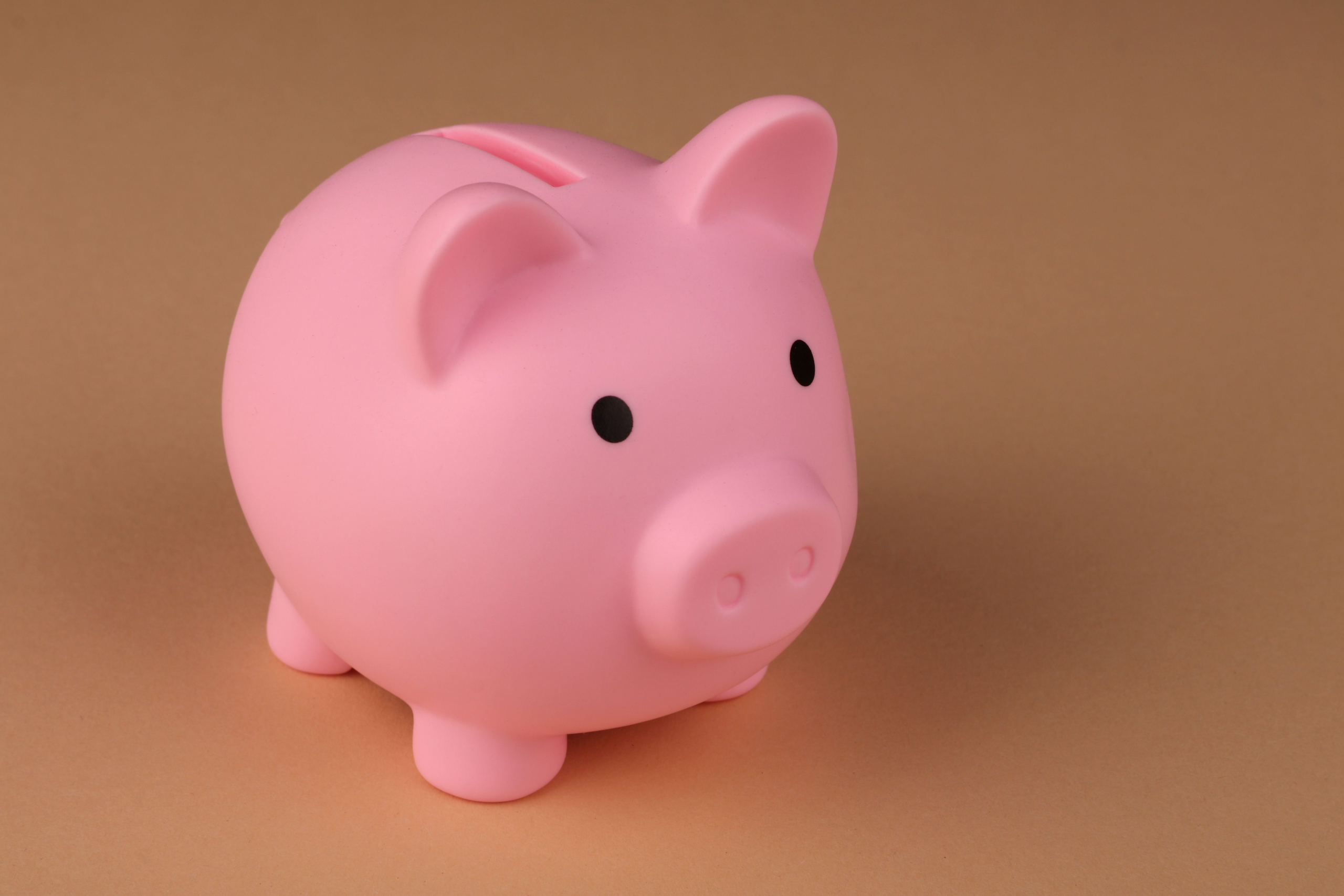 Year 7 Economics – Smart Choices: Understanding Needs, Wants, and Budgeting