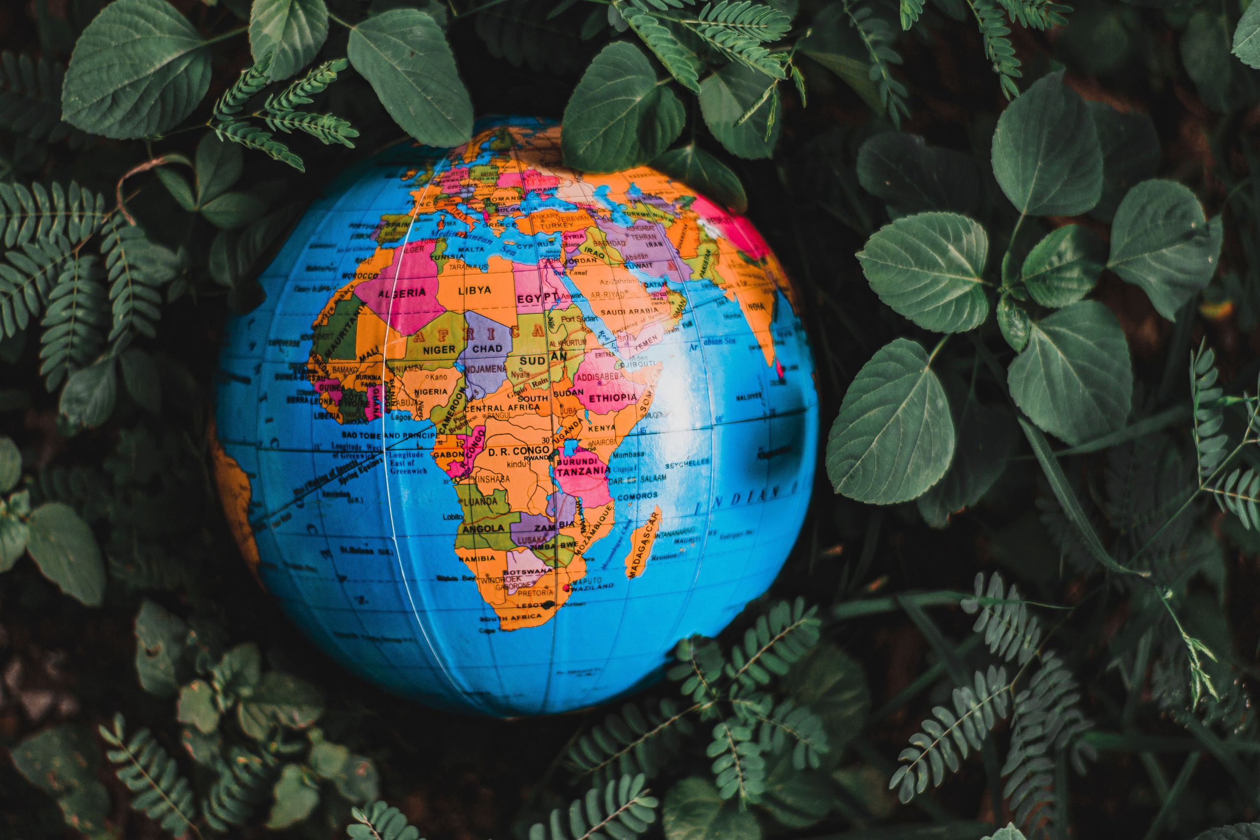 Year 10 Geography – “Navigating Global Shifts: Climate, Migration & Economies”