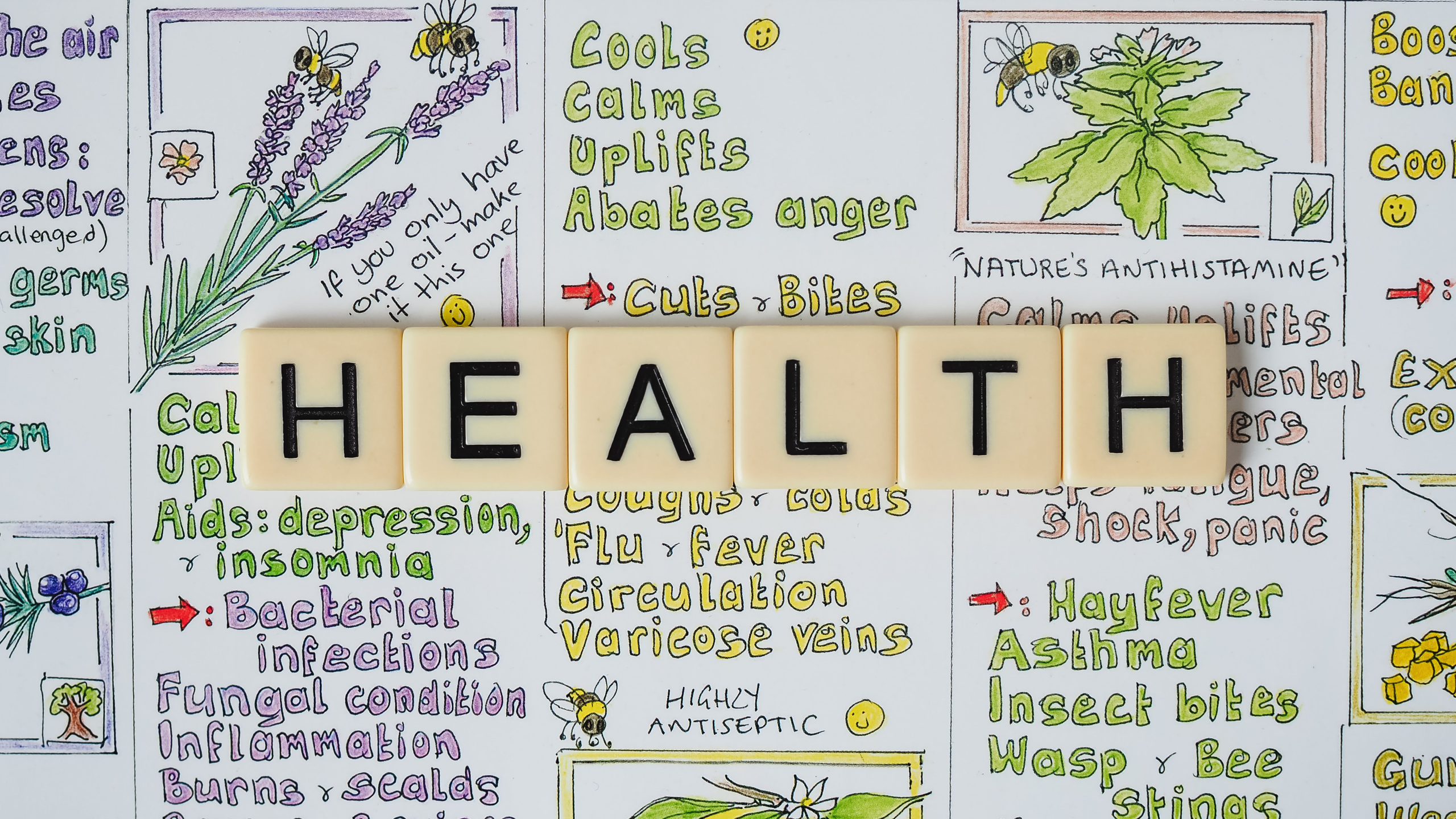 Year 8 Health – Navigating Health: Nutrition, Wellbeing & Relationships