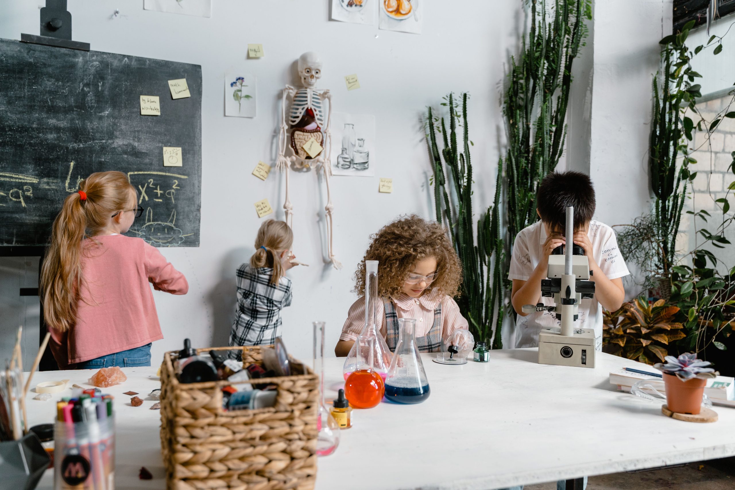 Grade 2 – Young Explorers: Discovering Science Together