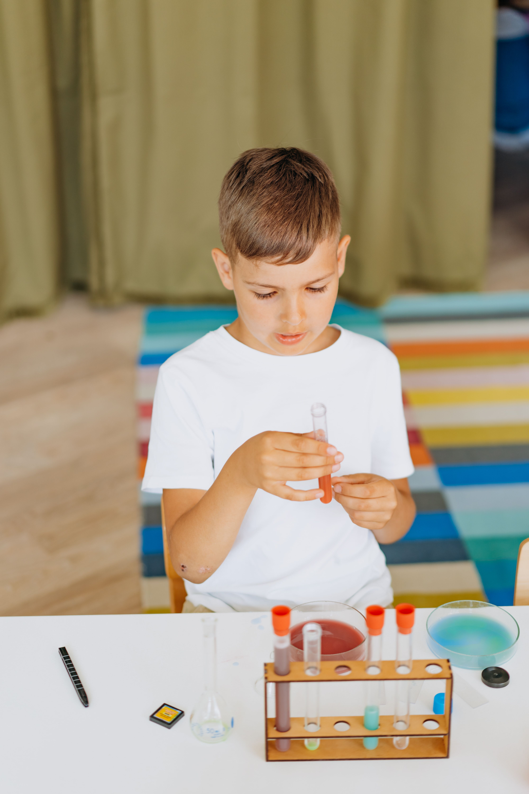 Grade 4 – “Explore & Discover: Year 4 Science Adventures”