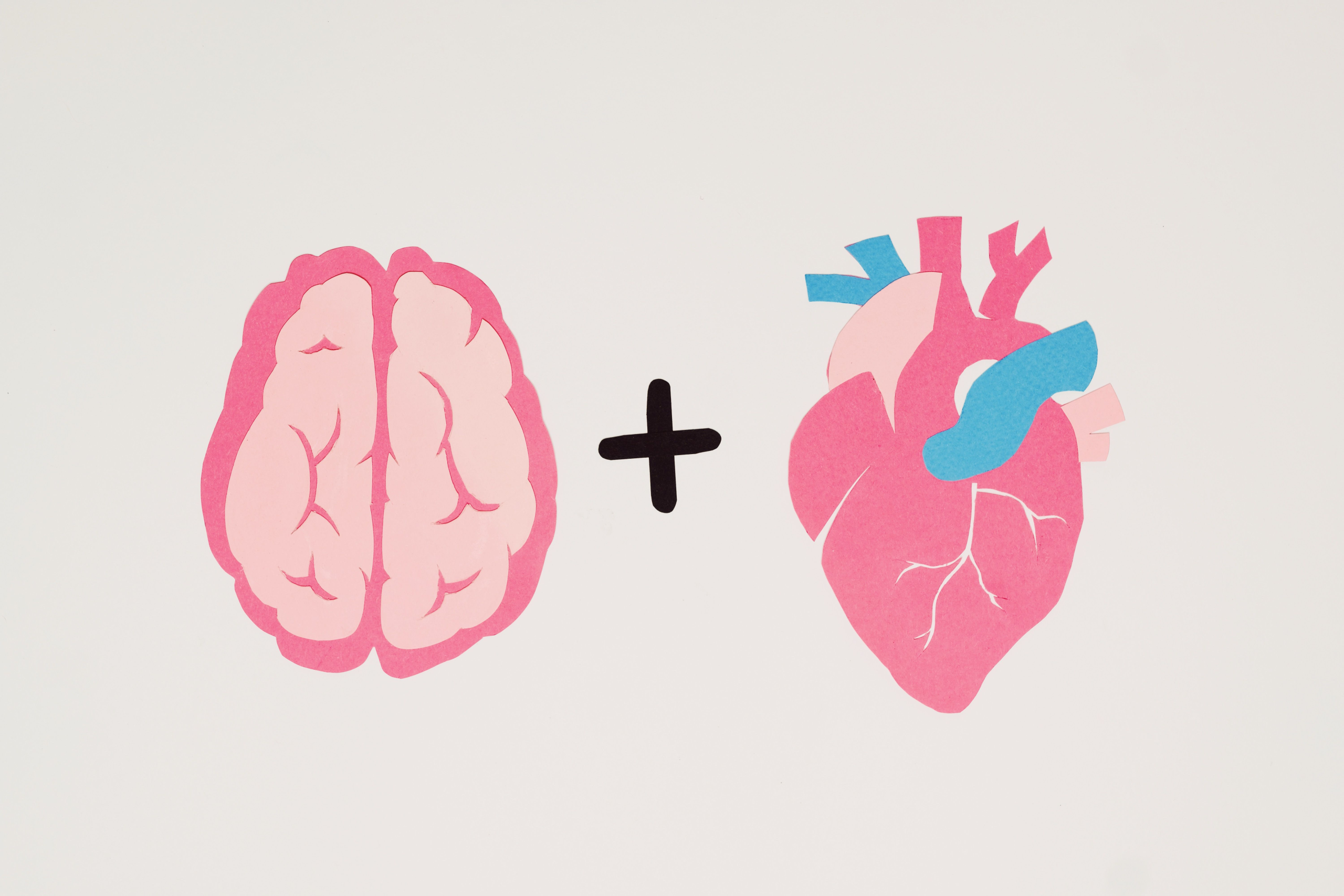 Year 11 Psychology – Memory, Learning, and Mental Health for Year 11