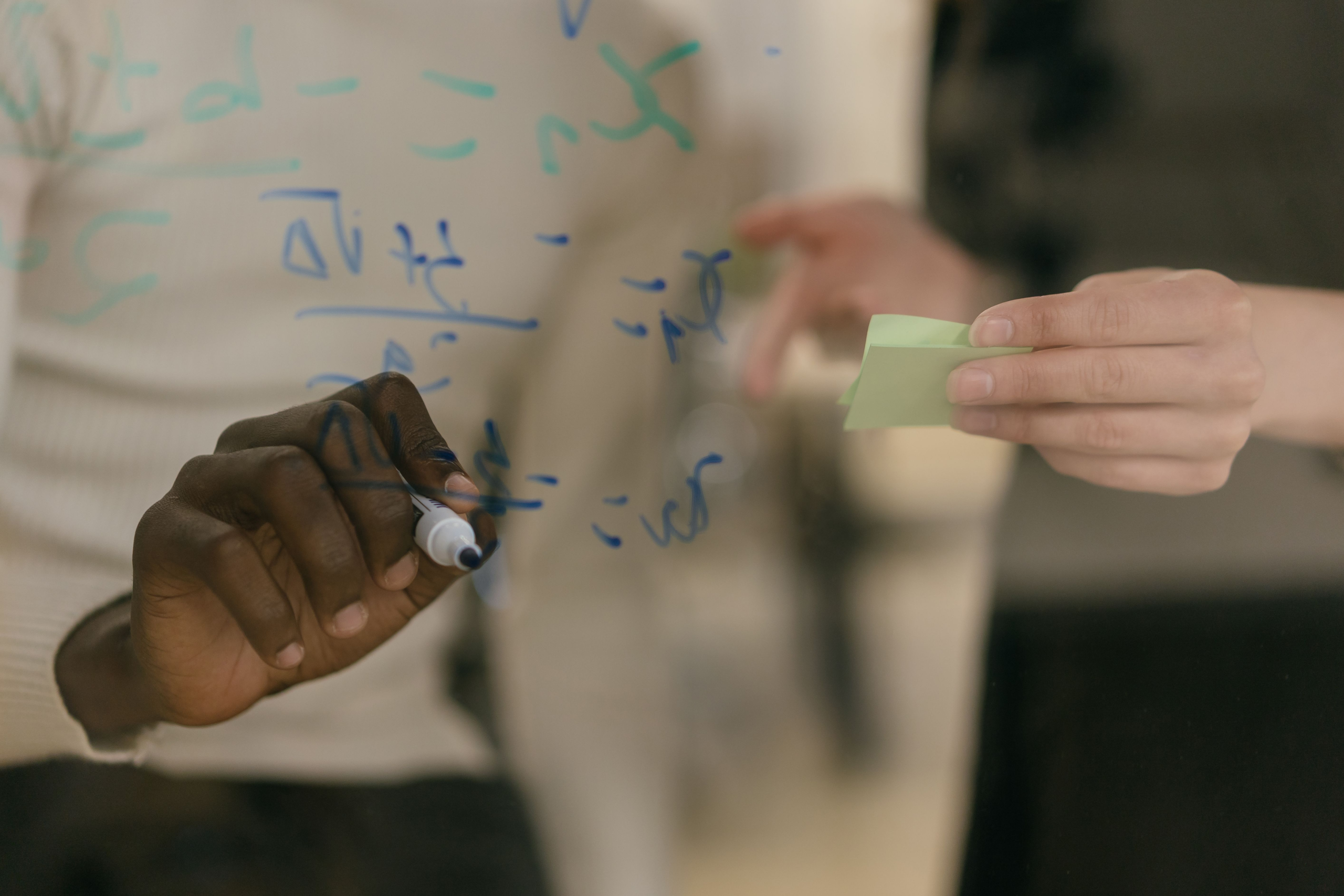 Mastering Year 12 Math: Functions, Calculus & Probability